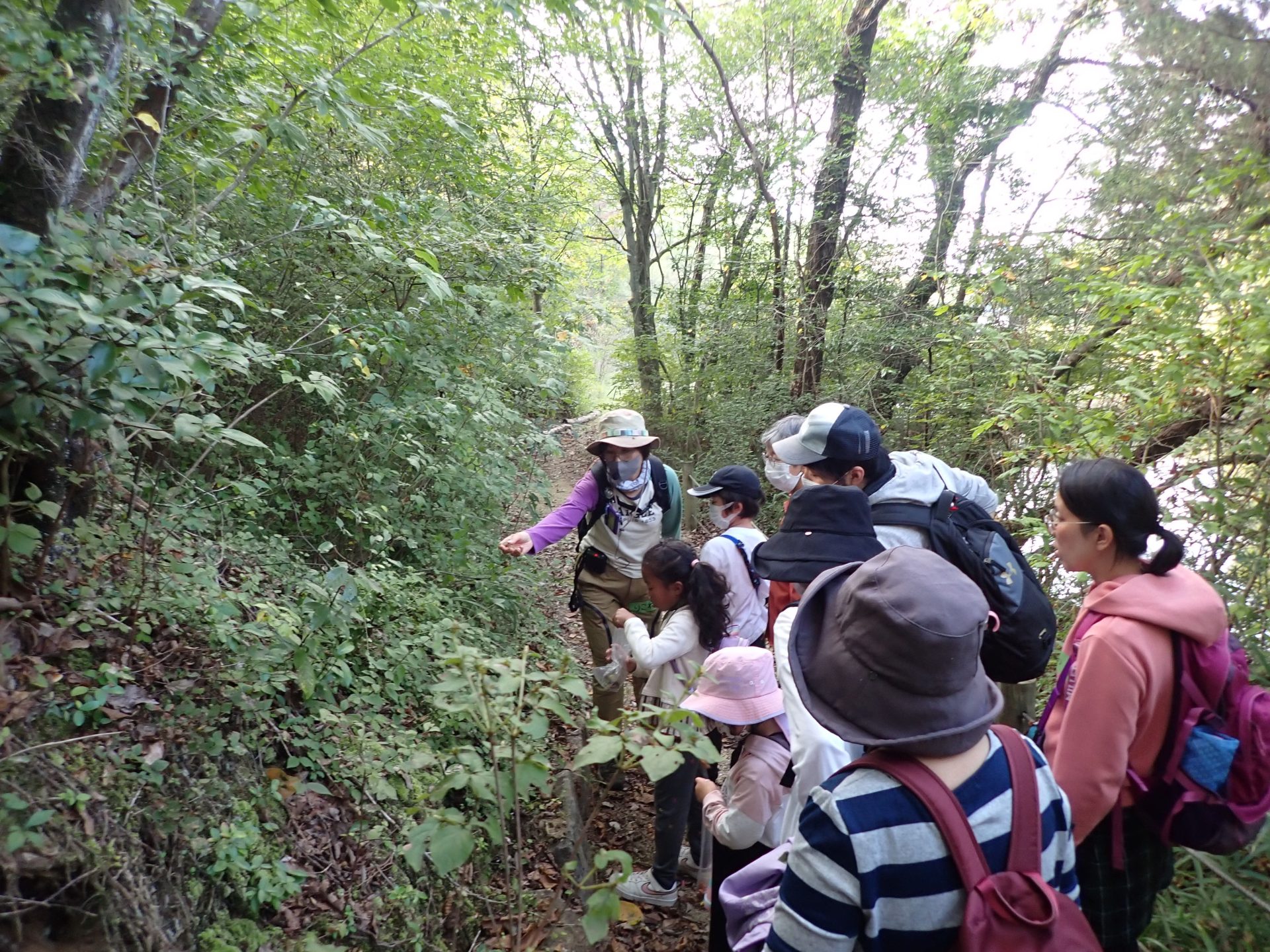 バロー大森の径　秋を味わう散歩＆植栽体験 | 自然共生（生物多様性・気象・自然体験）