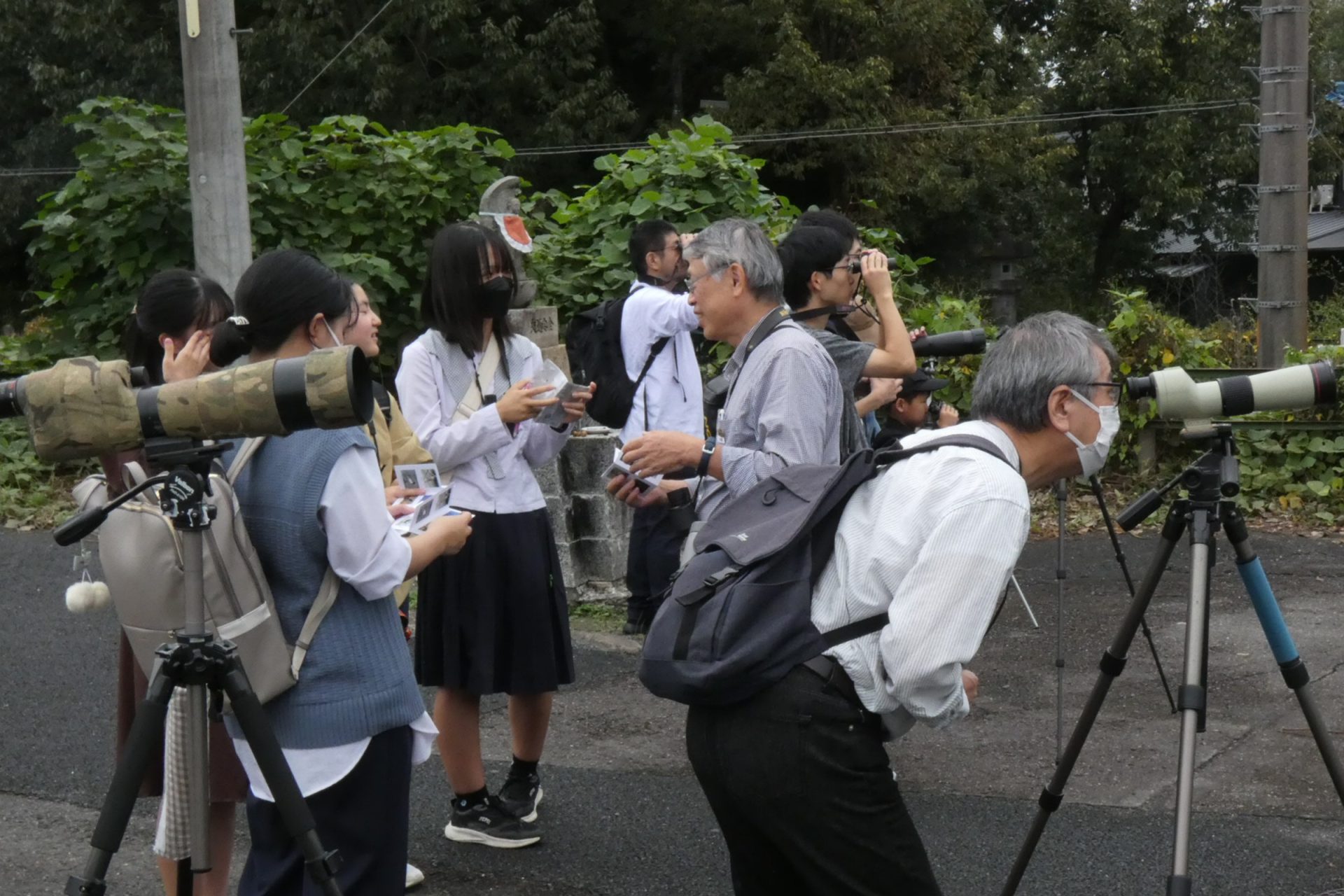 日本野鳥の会　岐阜　探鳥会 | カテゴリで探す