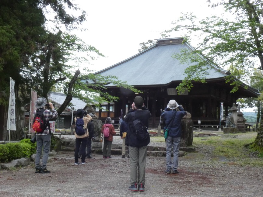 日本野鳥の会　岐阜　探鳥会 | カテゴリで探す