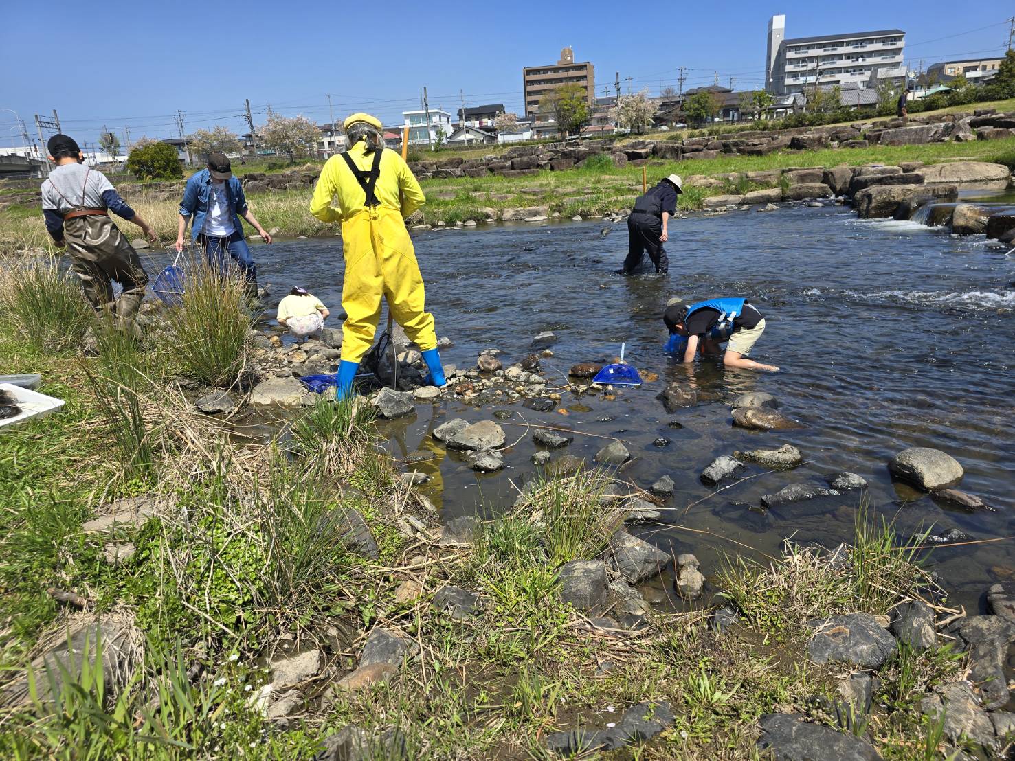 可児川探検隊　【春】　暖かくなってきた可児川に入って生き物を探そう～ | カテゴリで探す