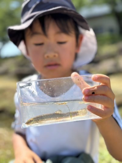 可児川探検隊　【春】　暖かくなってきた可児川に入って生き物を探そう～ | カテゴリで探す