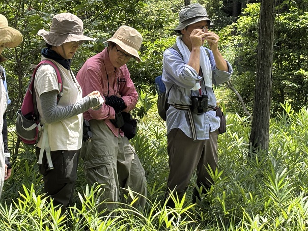 リコーえなの森　植物観察会 | 自然環境