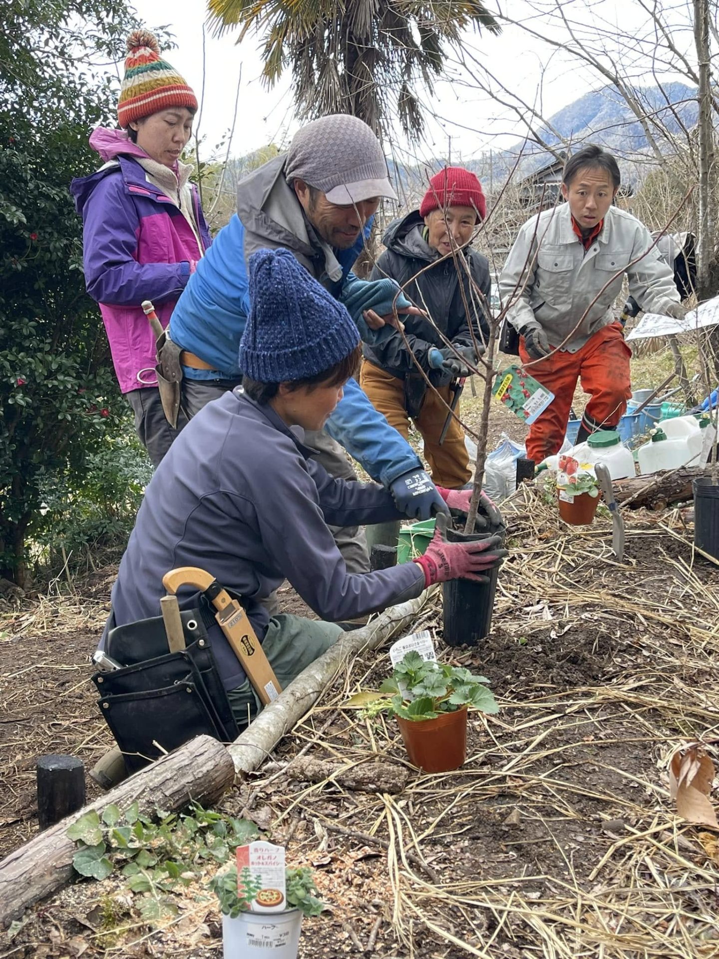 食べられる森作り | 自然環境
