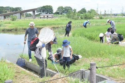 ままず調査団 | カテゴリで探す