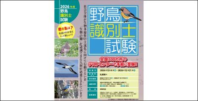 野鳥識別士試験 | カテゴリで探す