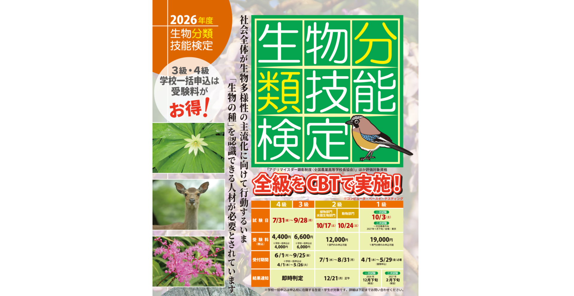 生物分類技能検定（2級・3級・4級） | カテゴリで探す