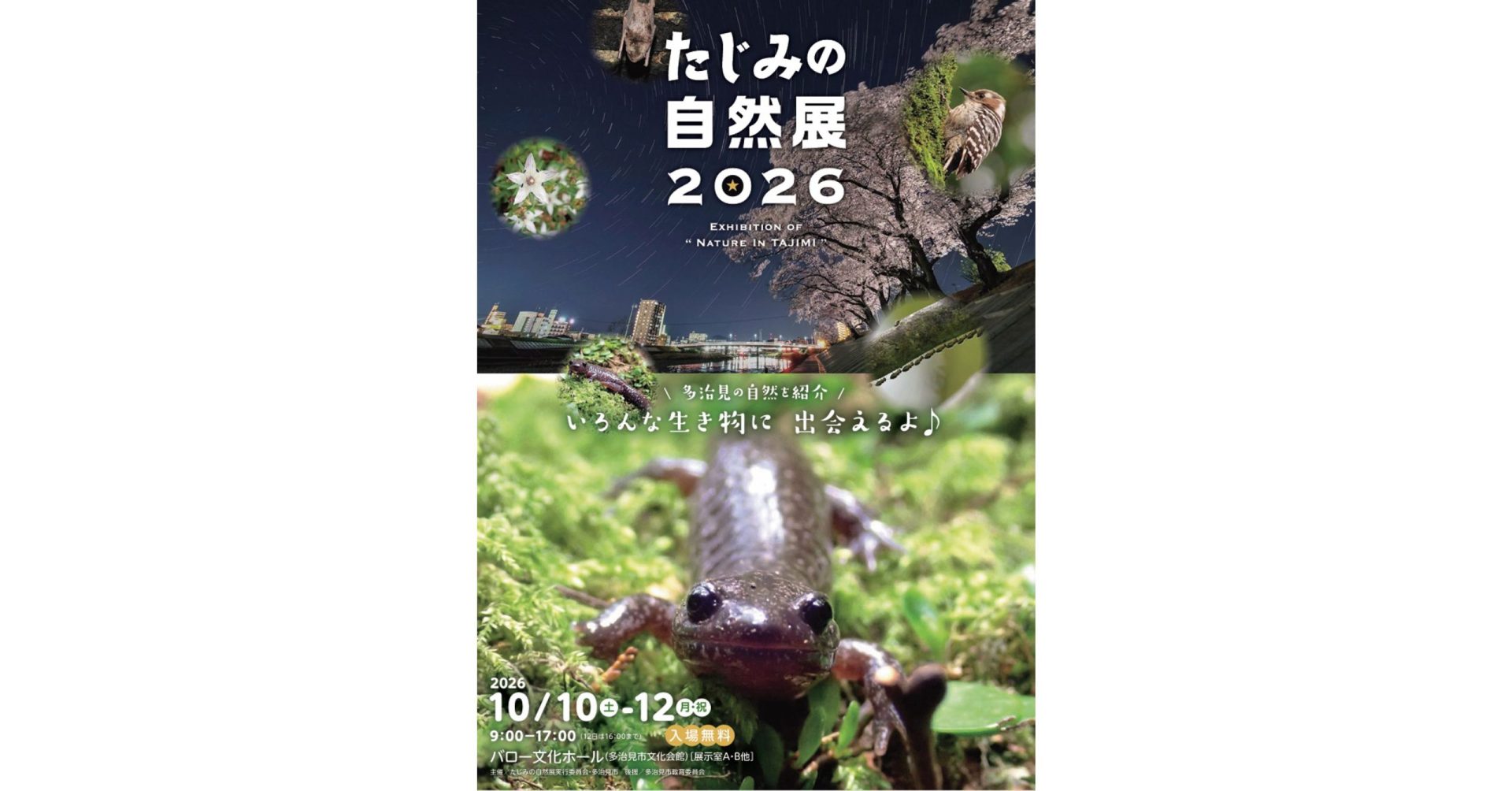 たじみの自然展2026 | カテゴリで探す