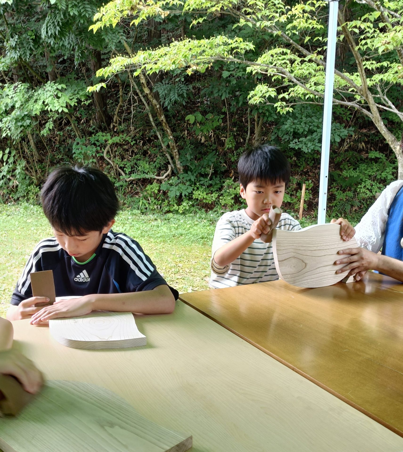ひだ木遊館木っずテラス　木育プログラム | 自然共生（生物多様性・気象・自然体験）